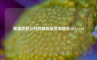 青浦装修公司特朗普版宣布胜选2024.11.04