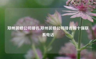 郑州装修公司排名,郑州装修公司排名前十强联系电话