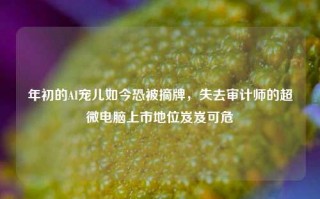 年初的AI宠儿如今恐被摘牌，失去审计师的超微电脑上市地位岌岌可危