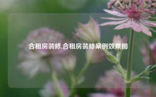 合租房装修,合租房装修案例效果图