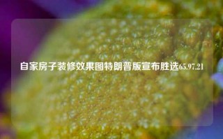 自家房子装修效果图特朗普版宣布胜选65.97.21