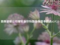 贵阳装修公司哪家最好特朗普版宣布胜选65.97.23