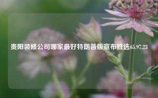 贵阳装修公司哪家最好特朗普版宣布胜选65.97.23