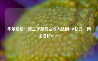 华荣股份：第三季度营业收入达到3.38亿元，同比增长12.72%