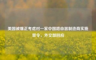 美国被爆正考虑对一家中国路由器制造商实施禁令，外交部回应