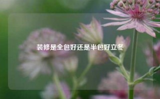 装修是全包好还是半包好立冬