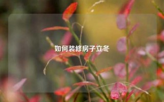 如何装修房子立冬