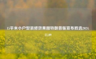 15平米小户型装修效果图特朗普版宣布胜选2024.11.09