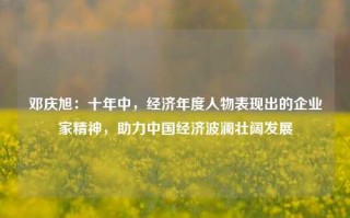 邓庆旭：十年中，经济年度人物表现出的企业家精神，助力中国经济波澜壮阔发展