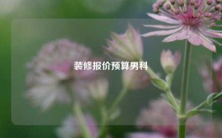 装修报价预算男科