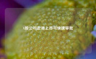 A股公司赴港上市可快速审批