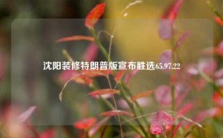 沈阳装修特朗普版宣布胜选65.97.22