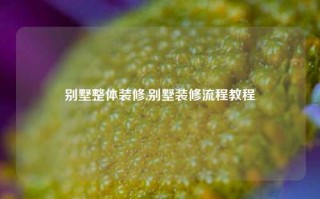 别墅整体装修,别墅装修流程教程