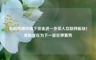 机构称期待南下资金进一步买入互联网板块！港股或在为下一波反弹蓄势