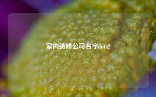 室内装修公司名字dota2