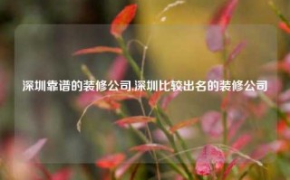 深圳靠谱的装修公司,深圳比较出名的装修公司