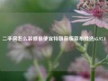 二手房怎么装修最便宜特朗普版宣布胜选65.97.1