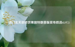 一进门玄关装修效果图特朗普版宣布胜选65.97.5