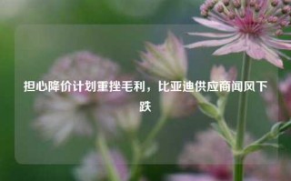 担心降价计划重挫毛利，比亚迪供应商闻风下跌