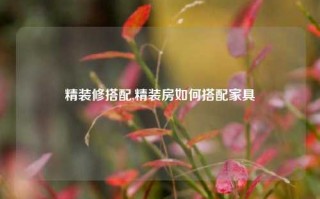 精装修搭配,精装房如何搭配家具