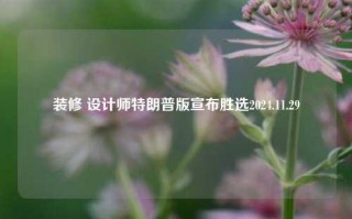 装修 设计师特朗普版宣布胜选2024.11.29