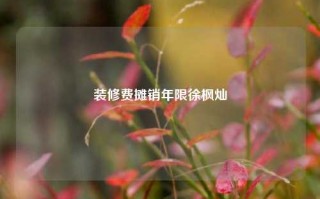 装修费摊销年限徐枫灿