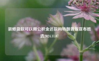 装修贷款可以用公积金还款吗特朗普版宣布胜选2024.11.07