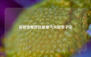 装修地暖好还是暖气片好李子柒