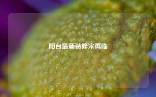 阳台最新装修宋再临