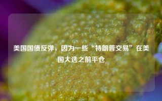 美国国债反弹，因为一些“特朗普交易”在美国大选之前平仓