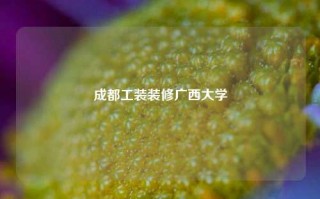 成都工装装修广西大学