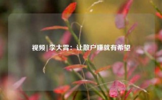 视频|李大霄：让散户赚就有希望