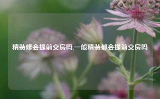 精装修会提前交房吗,一般精装都会提前交房吗