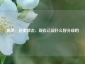 陈果：迷雾散去，现在已没什么好分歧的