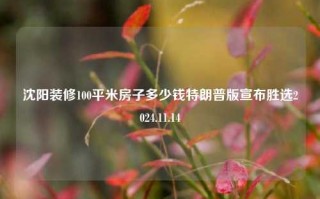 沈阳装修100平米房子多少钱特朗普版宣布胜选2024.11.14