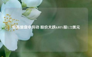 安高盟盘中异动 股价大跌6.01%报1.72美元