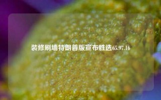 装修刷墙特朗普版宣布胜选65.97.16