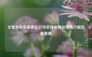 王受文会见英伟达公司全球业务运营执行副总裁普瑞