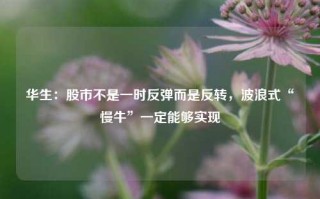 华生：股市不是一时反弹而是反转，波浪式“慢牛”一定能够实现