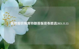 装修报价预算特朗普版宣布胜选2024.11.15