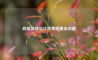 房屋装修设计效果图黄金价格