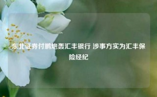 东北证券付鹏炮轰汇丰银行 涉事方实为汇丰保险经纪