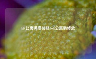 loft公寓满搭装修,loft公寓装修效