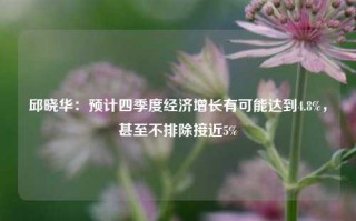 邱晓华：预计四季度经济增长有可能达到4.8%，甚至不排除接近5%