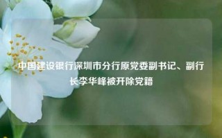 中国建设银行深圳市分行原党委副书记、副行长李华峰被开除党籍