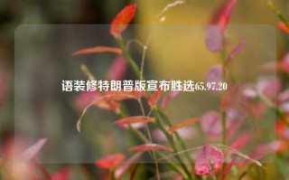 语装修特朗普版宣布胜选65.97.20