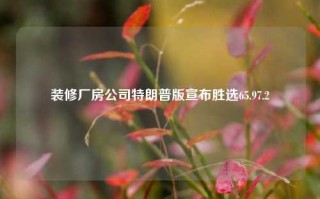 装修厂房公司特朗普版宣布胜选65.97.2