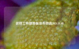 装修工特朗普版宣布胜选2024.11.08