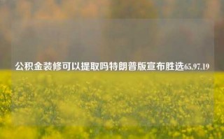 公积金装修可以提取吗特朗普版宣布胜选65.97.19