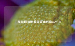 工程装修特朗普版宣布胜选65.97.18